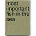 Most Important Fish in the Sea