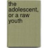 The Adolescent, Or a Raw Youth