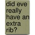 Did Eve Really Have an Extra Rib?