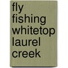 Fly Fishing Whitetop Laurel Creek by Beau Beasley