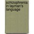 Schizophrenia in Layman's Language