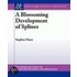 Blossoming Development of Splines, A