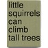 Little Squirrels Can Climb Tall Trees