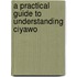 A Practical Guide to Understanding Ciyawo