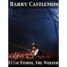 Elam Storm, the Wolfer  Or, the Lost Nugget door Harry Castlemon