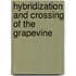 Hybridization and Crossing of the Grapevine
