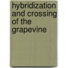 Hybridization and Crossing of the Grapevine door William Chamberlain Strong