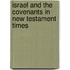 Israel and the Covenants in New Testament Times