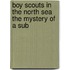 Boy Scouts in the North Sea the Mystery of a Sub
