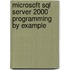 Microsoft Sql Server 2000 Programming by Example