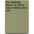The Bobbsey Twins, Or Merry Days Indoors and Out