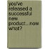 You'Ve Released a Successful New Product...Now What?