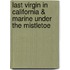 Last Virgin in California & Marine Under the Mistletoe