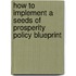 How to Implement a Seeds of Prosperity Policy Blueprint