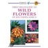 Sasol First Field Guide to Wild Flowers of Southern Africa