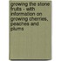 Growing the Stone Fruits - with Information on Growing Cherries, Peaches and Plums