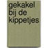 Gekakel bij de kippetjes