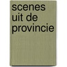 Scenes uit de provincie door J.H. Coetzee