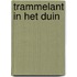 Trammelant in het duin