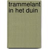 Trammelant in het duin by Caroline De Pater