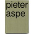 Pieter Aspe