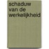 Schaduw van de werkelijkheid