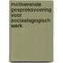 Motiverende gespreksvoering voor sociaalagogisch werk