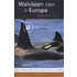 Walvissen kijken in Europa