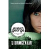 Stormgevaar