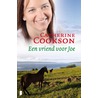 Een vriend voor Joe by Catherine Cookson