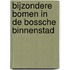 Bijzondere bomen in de Bossche binnenstad