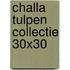 Challa tulpen collectie 30x30