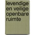 Levendige en veilige openbare ruimte