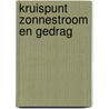 Kruispunt zonnestroom en gedrag by Bert Plomp