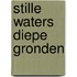 Stille waters diepe gronden