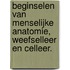 Beginselen van menselijke anatomie, weefselleer en celleer.
