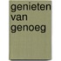 Genieten van genoeg