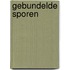 Gebundelde sporen