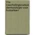11e nascholingscursus dermatologie voor huisartsen