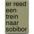 Er reed een trein naar Sobibor