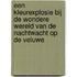 Een kleurexplosie bij de wondere wereld van de Nachtwacht op de Veluwe