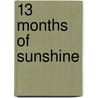 13 Months of Sunshine door Marianne van der Lingen
