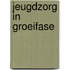 Jeugdzorg in groeifase