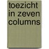 Toezicht in zeven columns