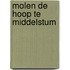Molen De Hoop te Middelstum