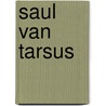 Saul van Tarsus by Hein van Bottenburg