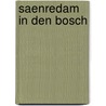 Saenredam in Den Bosch door Paul Huys Jansen