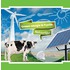 Groene energie in Fryslan