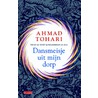 Dansmeisje uit mijn dorp by Ahmad Tohari