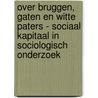 Over bruggen, gaten en witte paters - sociaal kapitaal in sociologisch onderzoek by Beate Volker